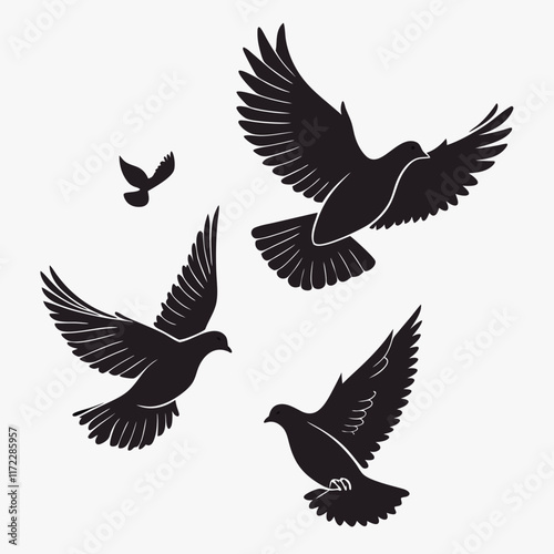 vector illustration of a flying birds