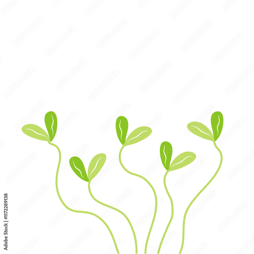 sprouted grains and micro greens vector
