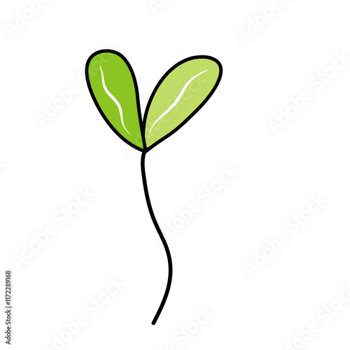 sprouted grains and micro greens vector