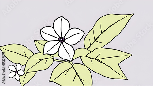 outline periwinkle drawing, periwinkle flower line drawing, clip art periwinkle flower outline, noyontara coloring pages for kids, step by step periwinkle flower drawing photo