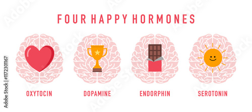 Four happy hormones. Dopamine, endorphin, serotonin, oxytocin. 