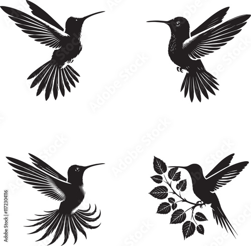 Hummingbirds black and white silhouette assets in vector farm