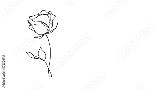 Beautiful rose line art sketch. rose line art icon.