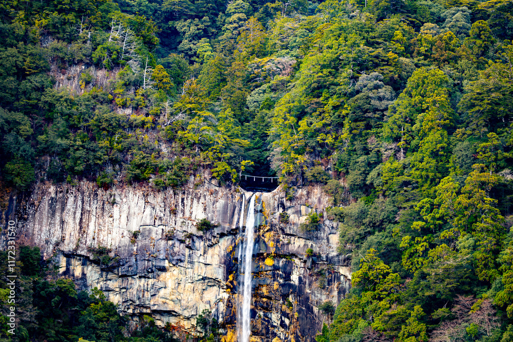 Fototapeta premium 和歌山県 那智大社の風景(2024年12月)