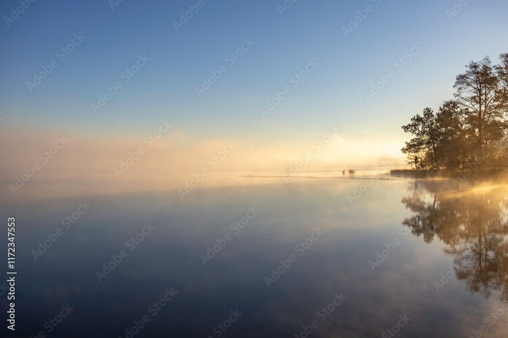 Fototapeta premium Cold, misty sunrise over Lake Seminole in Three Rivers State Park near Sneads, FL