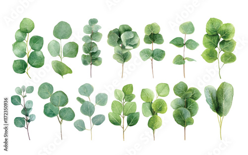 A collection of various green leaves arranged