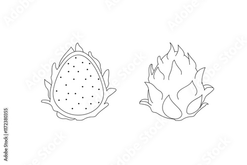 vector clipart dragon fruit isolated on transparent background. 