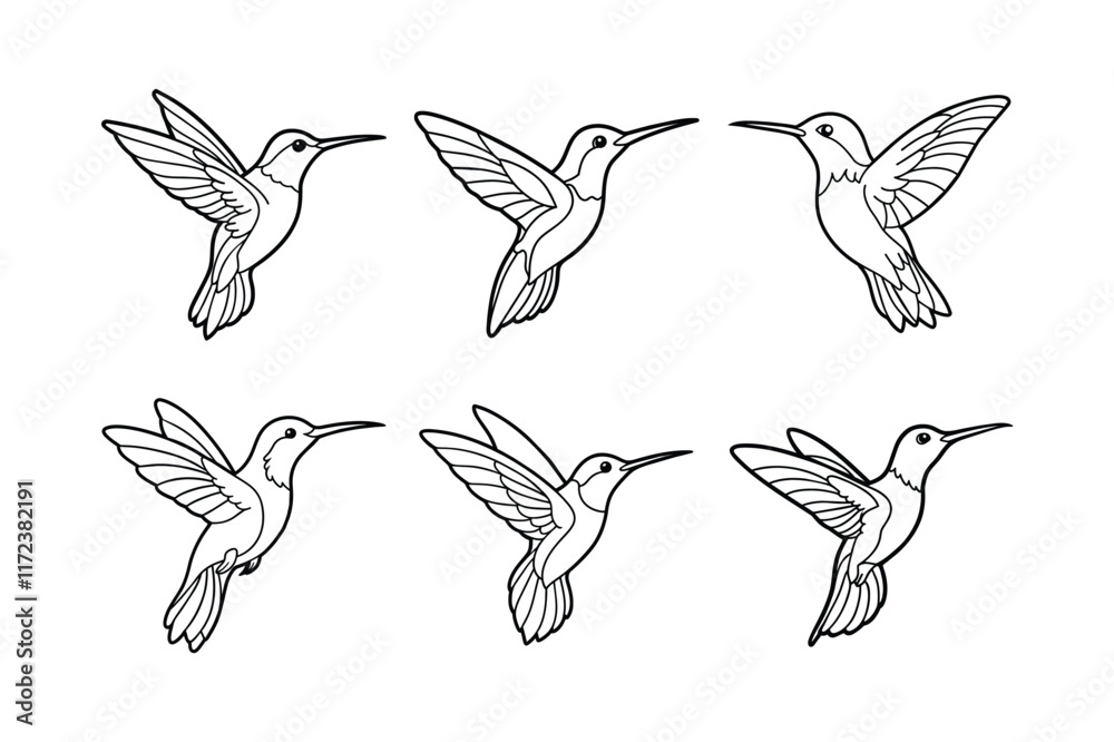 Obraz premium hummingbird line art vector illustration