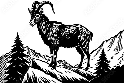 Male billy mountain goat vector art illustration