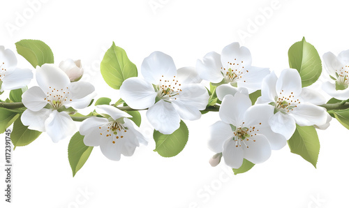 White blossom branch border.