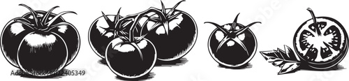 Set of hot tomato silhouette peppers, isolated3 vector illustration