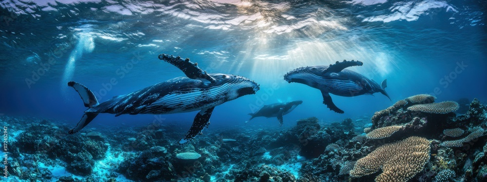Fototapeta premium An awe-inspiring view of the migration of humpback whales in Antarctica, Wildlife scene, Majestic style
