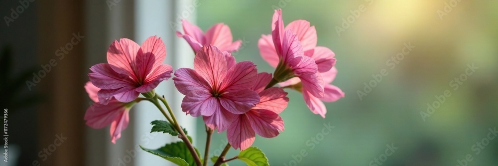 Fototapeta premium Soft focus on Althaea officinalis flowers in a vase, botanical, nature