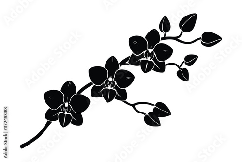 An orchid branch with flowers, unopened buds, and a stem vector art silhouette illustration
