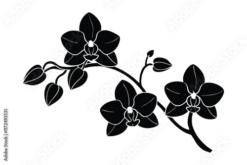 An orchid branch with flowers, unopened buds, and a stem vector art silhouette illustration11.eps