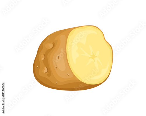 Raw potato cut in half isolated on white background. Vector cartoon illustration of fresh root vegetable. 