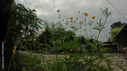 East Sumba, East Nusa Tenggara, Indonesia –  01. 04. 2025 – Time Lapse of Heavy Clouds Around Waingapu City photo