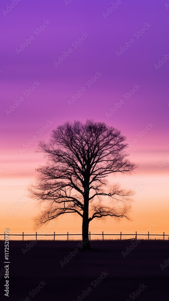 Twilight Tree Silhouette Twilight Tree Silhouette
