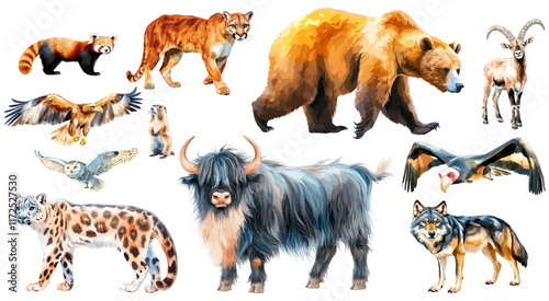 set of vector illustration of a cartoon mountain animals animation, painted with watercolor, isolated on a white background