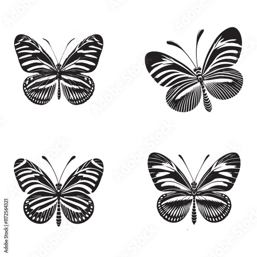 Detailed Silhouettes of Zebra Longwing Butterfly Elegantly Isolated on White Background in Monochrome