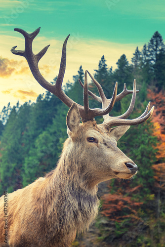 Obraz na płótnie Portrait of a deer in a mountain forest during sunset. Vertical photo w salonie