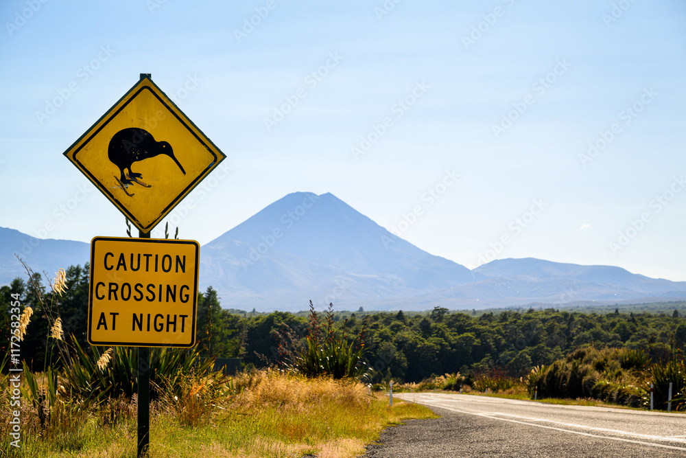 “Kiwi Crossing at Night” road sign by the side of road. Mount Ngauruhoe in the distance. Tongariro National Park. New Zealand.