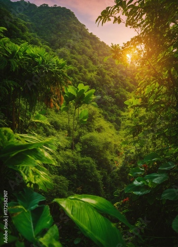 courbe exponentielle fine sur un fond verdoyant rappelant la nature tropicale