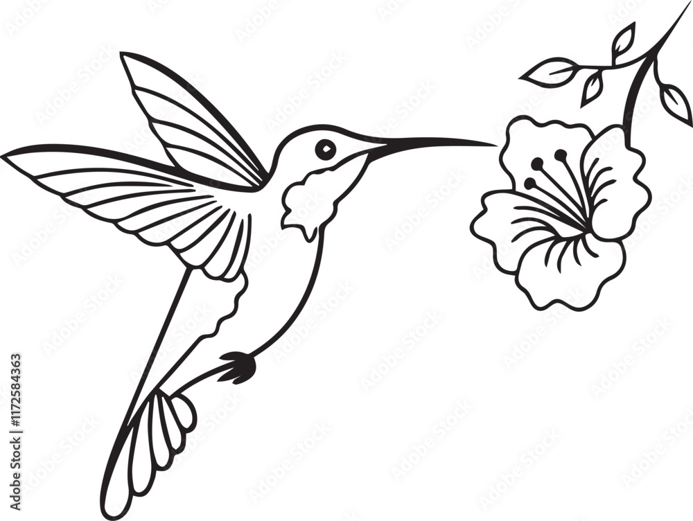 Fototapeta premium hummingbird and flower
