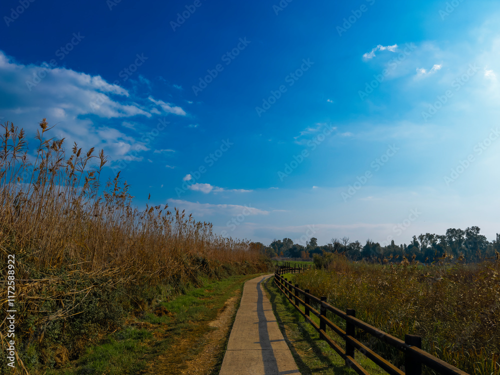 Fototapeta premium Stone footpath and wooden fence leading a long The Great