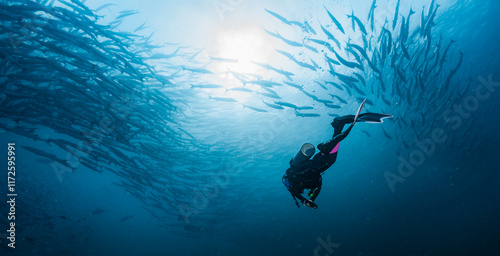 diver with shoal of barracuda in the Andaman Sea / Thailand