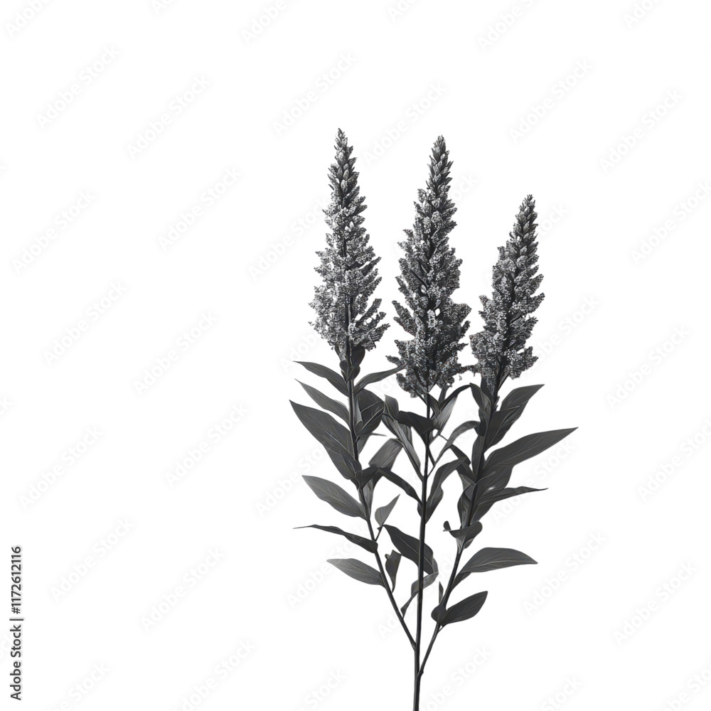 Elegant black design on a pristine white backdrop, emphasizing simplicity and modern aesthetics, ideal for branding and visual impact Elegant black design on a pristine white backdrop, emphasizing simplicity and modern aesthetics, ideal for branding and visual impact