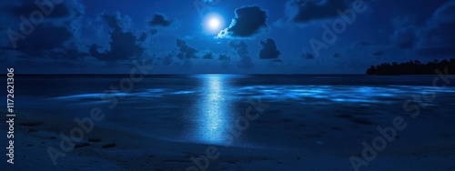 An enchanting view of a bioluminescent bay shimmering under a starry sky in Vieques, Puerto Rico, Puerto Rican bioluminescent bay scene photo