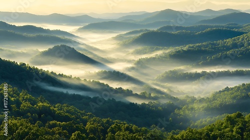 15. Calm and serene mountain valley filled with morning mist and scattered light rays photo