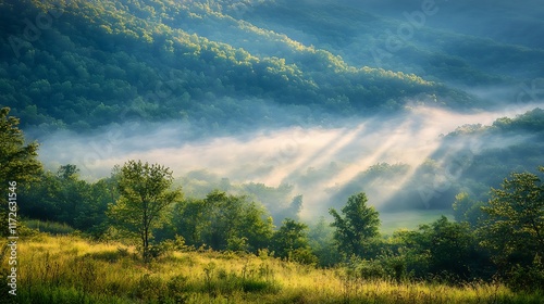 15. Calm and serene mountain valley filled with morning mist and scattered light rays photo