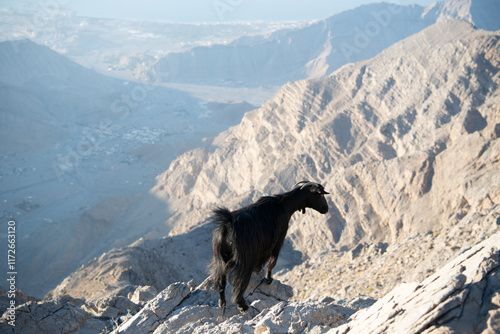 Jebel Jais, the UAE's tallest peak, offers breathtaking views, thrilling ziplines, and cool weather. A serene retreat for adventurers and nature lovers with stunning sunsets.