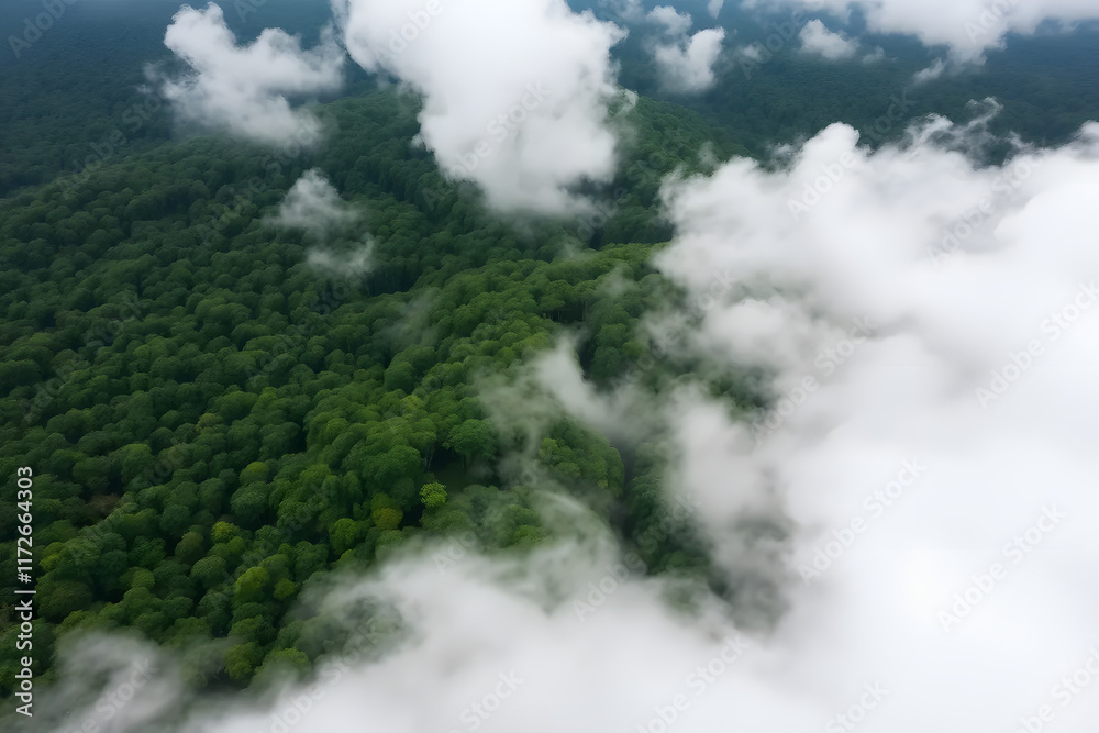 Aerial view of a lush green forest covered with mist and clouds, creating a serene and mystical atmosphere. The dense foliage and rolling hills are partially obscured by the fog.