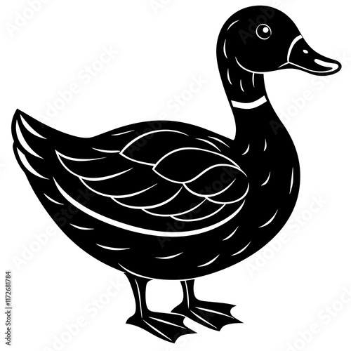 duck isolated on white