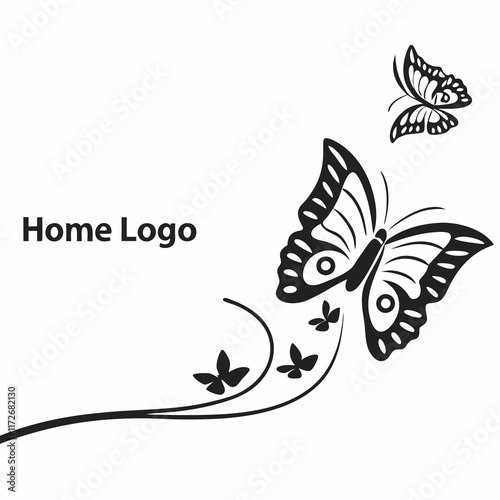 butterfly on a white background