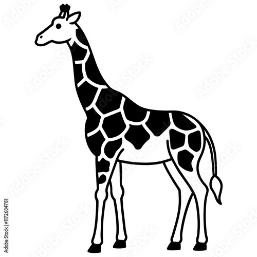 giraffe vector illustration photo