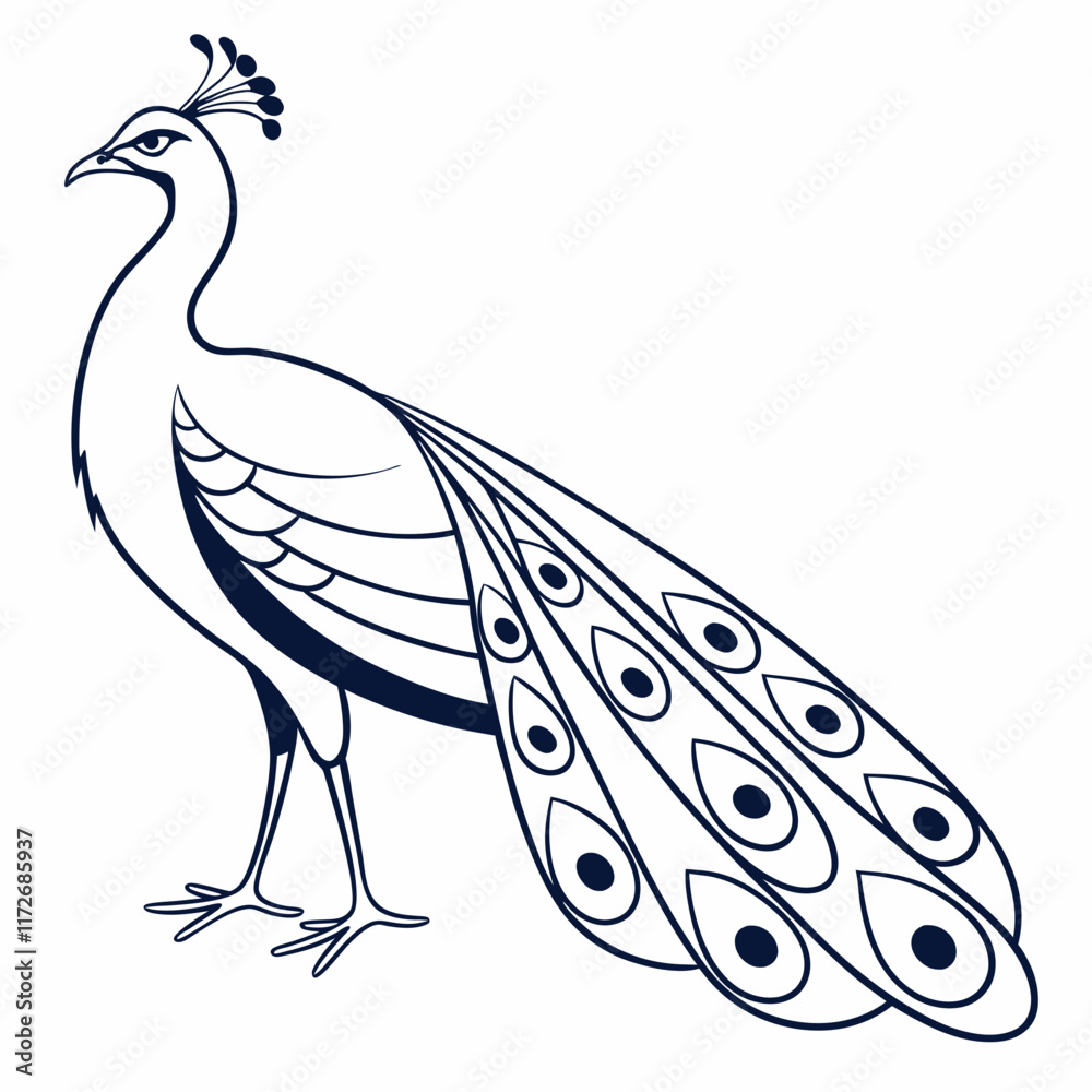 Obraz premium peacock feather illustration