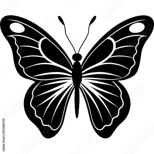 black and white butterfly