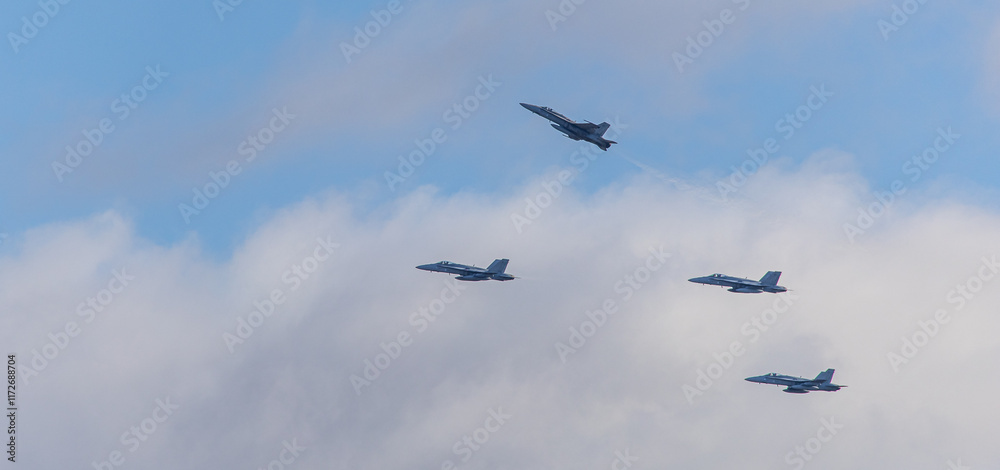 Fototapeta premium airplane flying in the sky