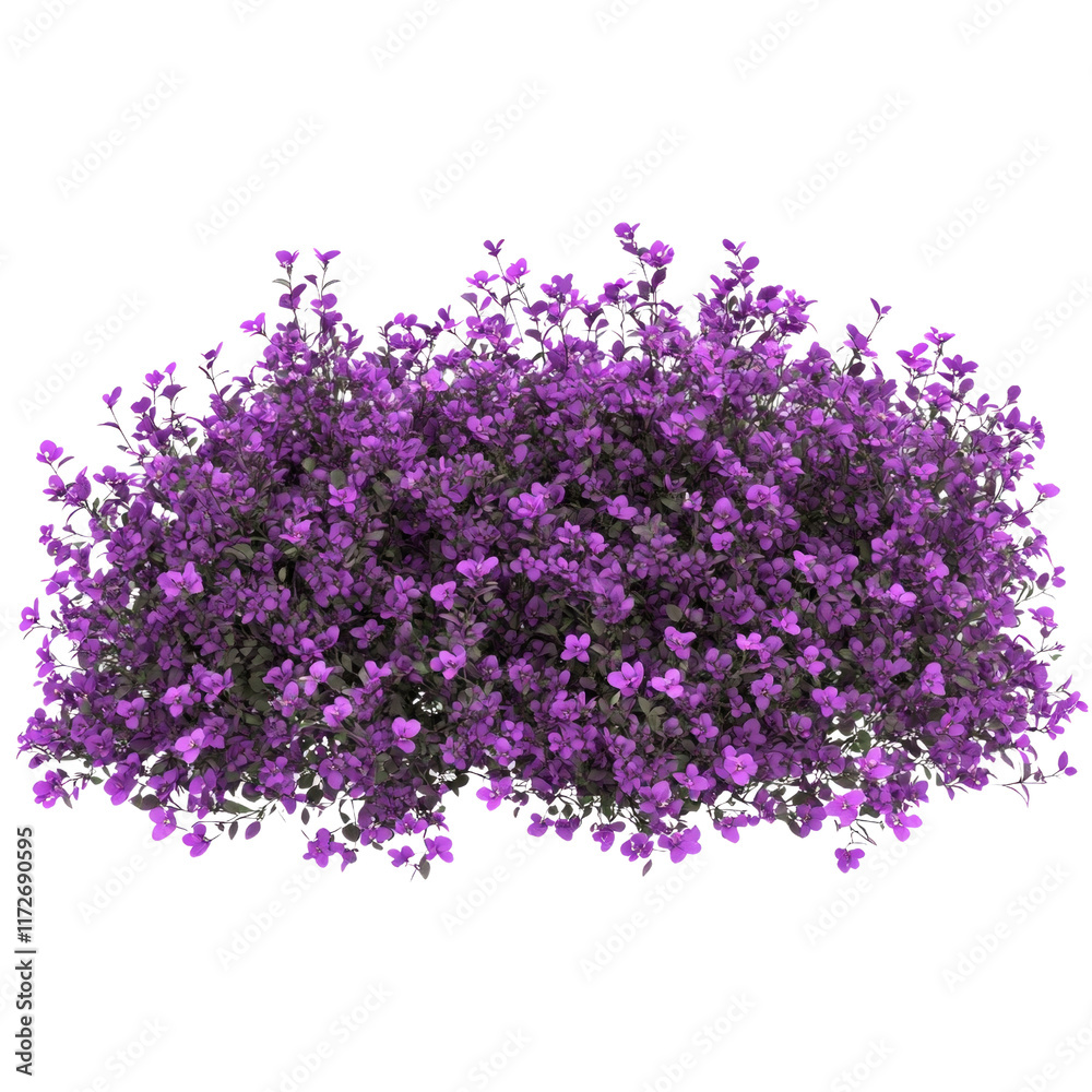A purple bush with purple flowers A purple bush with purple flowers