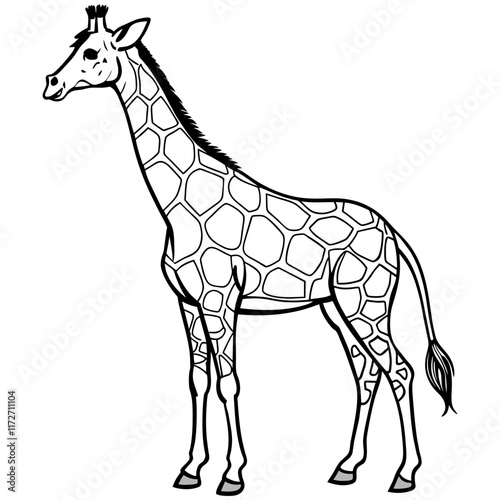 giraffe vector illustration