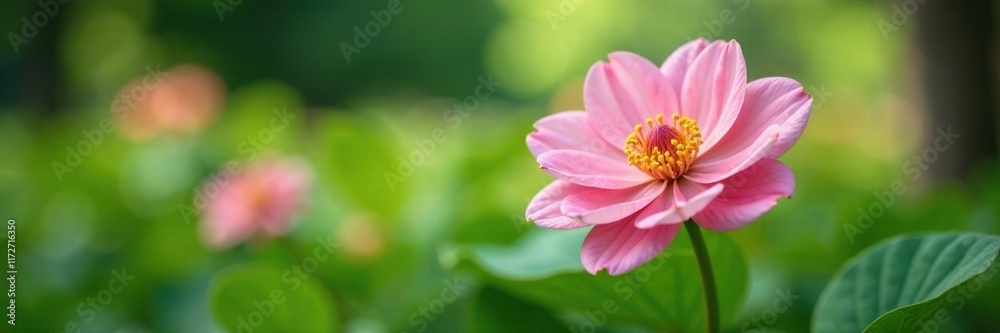 Obraz premium Soft pink flower blooms in a lush green garden, nature, plants