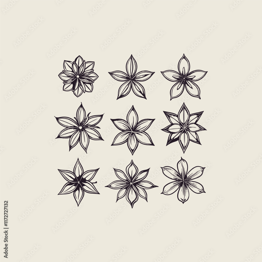Star anise spices design vector template Star anise spices design vector template