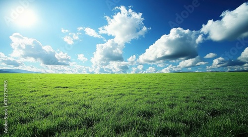 A beautiful, lush green field with a clear blue sky