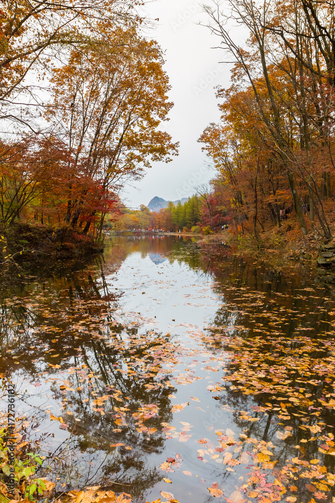 Colorful autumn leaves in the lake of the Laobiangou scenic area of Benxi, China