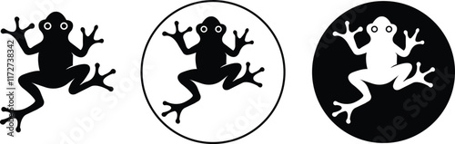 Amazonian frog flat vectors set, vectorized image of frog for graphic designs and logo for stiker with detail of branches, vectorized frog to design sports t-shirts isolated on transparent background.