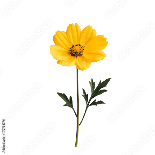 cute non realistic yellow flower with a plain white background